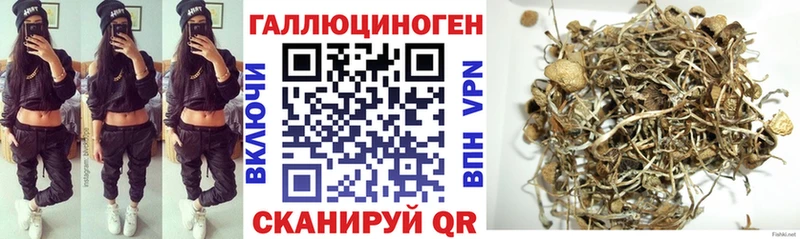 Галлюциногенные грибы прущие грибы  как найти   Алапаевск 